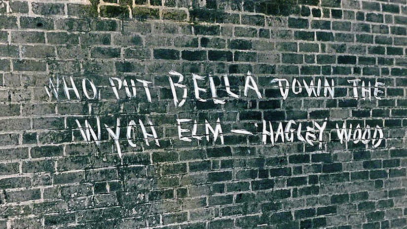 Who put Bella in the Wych Elm graffiti